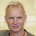 Sting on Random Hottest Male Singers