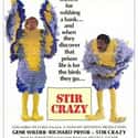 1980   Stir Crazy is a 1980 American comedy film directed by Sidney Poitier and starring Gene Wilder and Richard Pryor as down-on-their-luck friends who are given 125-year prison sentences after being...