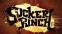 Sucker Punch Productions on Random Top American Game Developers