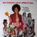 Sugar Hill on Random Best Black Movies of 1970s