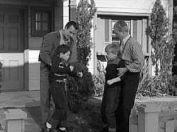 leave it to beaver family