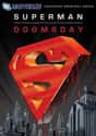 Superman: Doomsday on Random Best TV Shows And Movies On DC's Streaming Platform