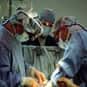 Surgeon is listed (or ranked) 1 on the list Highest Paid Jobs