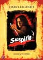 Suspiria on Random Best Horror Movies About Cults and Conspiracies