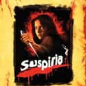 Suspiria on Random Best Horror Movies About Cults and Conspiracies