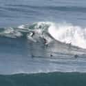 Swami's on Random Best U.S. Beaches for Surfing