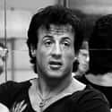 Sylvester Gardenzio Stallone, nicknamed Sly Stallone, is an American actor, screenwriter and film director. Stallone is well known for his Hollywood action roles.