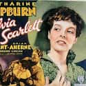 Sylvia Scarlett on Random Best '30s Romantic Comedies