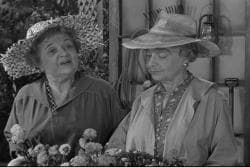 andy griffith alcohol and old lace