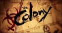 the colony survival tv show