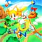 Tails' Skypatrol is listed (or ranked) 45 on the list All Sonic the Hedgehog Video Games: Best to Worst