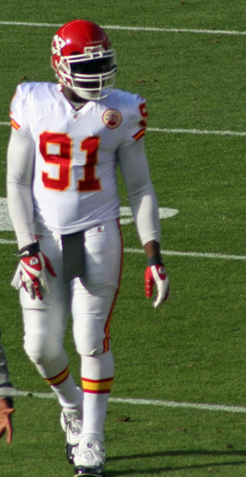 Tamba Hali Rankings &amp; Opinions