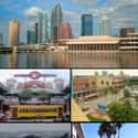 Tampa on Random Best Cities for Single Men