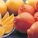 Tangelo on Random Very Best Citrus Fruits