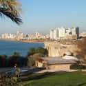 Tel Aviv on Random Top Party Cities of the World