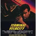 Terminal Velocity on Random Best '90s Spy Movies