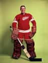 Terry Sawchuk on Random Greatest Detroit Red Wings