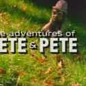 Michael C. Maronna, Danny Tamberelli, Judy Grafe   The Adventures of Pete & Pete is an American children's television series produced by Wellsville Pictures and broadcast by Nickelodeon.