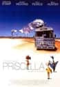 The Adventures of Priscilla, Queen of the Desert on Random Best Movies Set in Australia