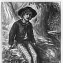 The Adventures of Tom Sawyer on Random Greatest American Novels