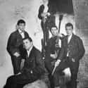 Blues-rock, Rock music, British blues   The Animals were a British band of the 1960s, formed in Newcastle upon Tyne during the early part of the decade.