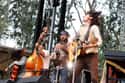 The Avett Brothers on Random Best Alternative Country Bands/Artists
