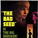 The Bad Seed on Random Great Movies About Juvenile Delinquents