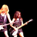 The Bangles on Random Greatest Pop Groups and Artists