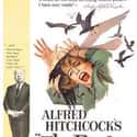The Birds on Random Scariest Alfred Hitchcock Movies