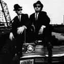 The Blues Brothers on Random Best Bands with Colors in Their Names
