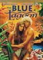 The Blue Lagoon on Random Best R-Rated Coming Of Age Movies