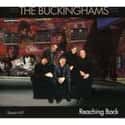 The Buckinghams on Random Best Musical Artists From Illinois