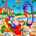 The Bugs Bunny/Road Runner Movie on Random Best Kids Movies of 1970s