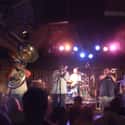 The Dirty Dozen Brass Band on Random Best Musical Artists From Louisiana