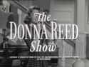 The Donna Reed Show on Random Best Sitcoms Named After the Star