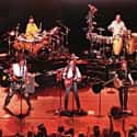 Swamp pop, Heartland rock, Rock music   The Doobie Brothers are an American rock band.