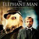 The Elephant Man on Random Very Best Biopics About Real Peopl