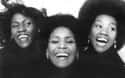 The Emotions on Random Greatest Motown Artists