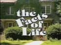 The Facts of Life on Random Most Important TV Sitcoms