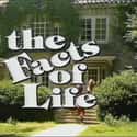 The Facts of Life on Random1980s Sitcoms That Will Still Make You Laugh
