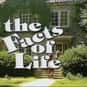 Lisa Whelchel, Kim Fields, Mindy Cohn   The Facts of Life is an American sitcom that originally ran on the NBC television network from August 24, 1979, to May 7, 1988, making it one of the longest running sitcoms of the 1980s.