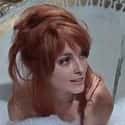 Roman Polanski, Sharon Tate, Alfie Bass   The Fearless Vampire Killers, or Pardon Me, But Your Teeth Are in My Neck is a 1967 comedy horror film directed by Roman Polanski, written by Gérard Brach and Polanski, produced by Gene...