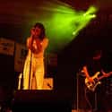 Indie pop, Psychedelic pop, Experimental rock   The Fiery Furnaces are an American indie rock band, formed in 2000 in Brooklyn, New York.