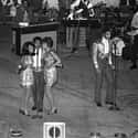 The 5th Dimension on Random Top Pop Artists of 1960s