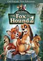 2006   The Fox and the Hound 2 is a 2006 direct-to-video followup to the 1981 Disney animated film The Fox and the Hound.