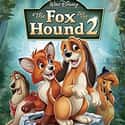 2006   The Fox and the Hound 2 is a 2006 direct-to-video followup to the 1981 Disney animated film The Fox and the Hound.