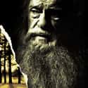 The Giver on Random Young Adult Novels That Should Be Adapted to Film