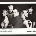 Jangle pop, New Wave, Indie rock   The Go-Betweens were an indie rock band formed in Brisbane, Australia in 1977 by singer-songwriters and guitarists, Robert Forster and Grant McLennan.