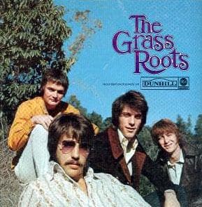 The Grass Roots Ranker Insights