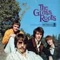 Psychedelic folk, Pop music, Rock music   The Grass Roots is an American rock band that charted frequently between 1966 and 1975.